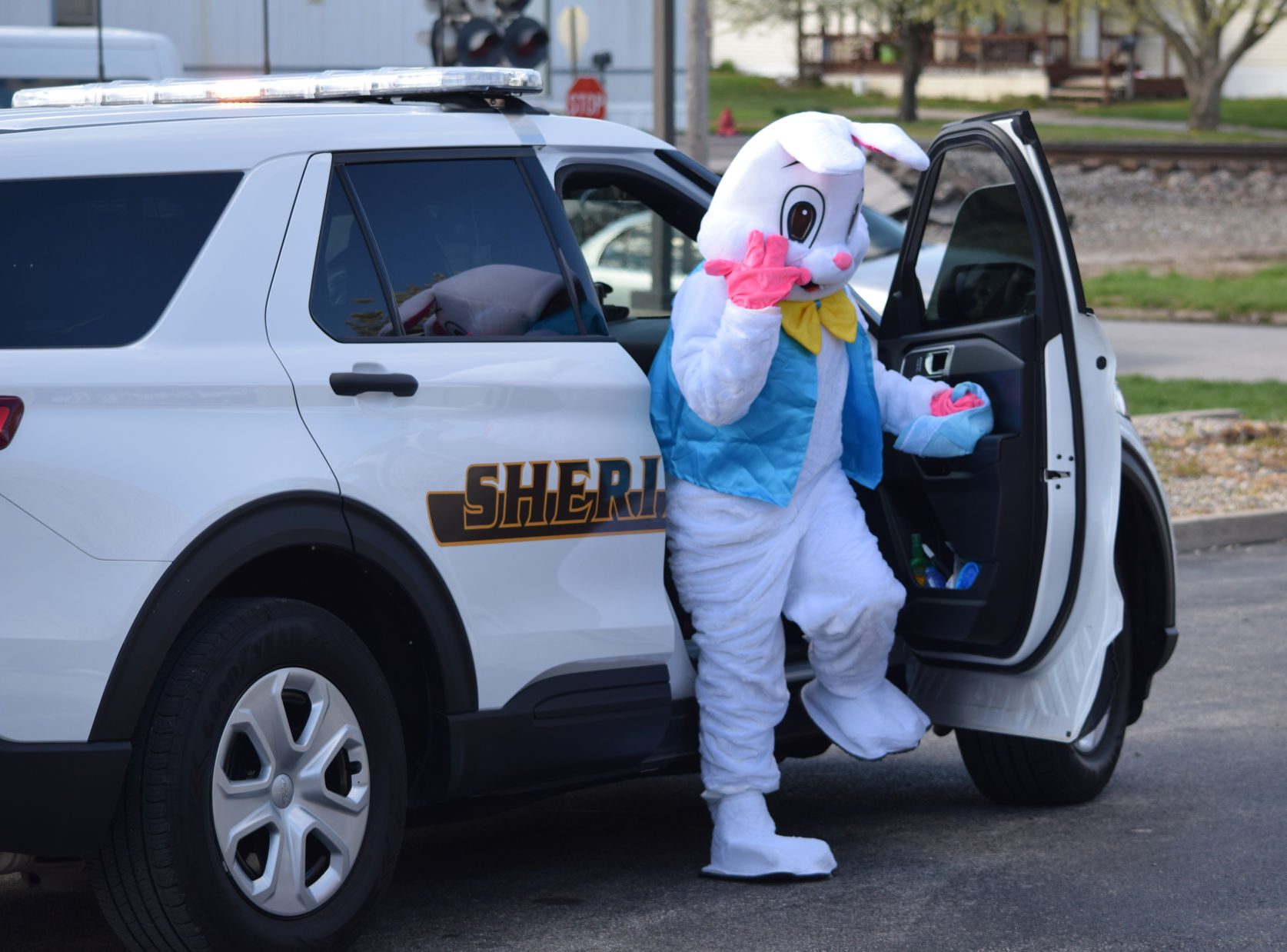 Animal rescue brings Easter Bunny to OC